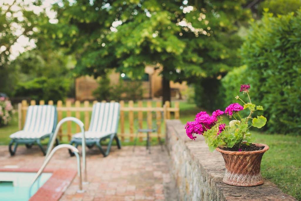 Villa Capannina Vico d'Arbia Εξωτερικό φωτογραφία